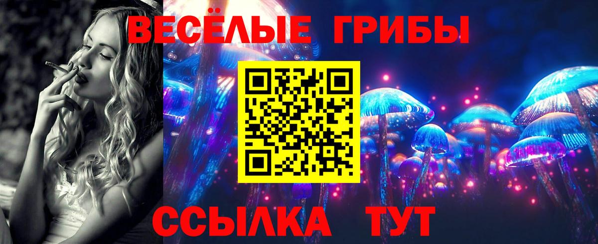 Галлюциногенные грибы мухоморы Подольск